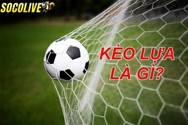 Nên học hỏi kinh nghiệm chơi kèo lựa